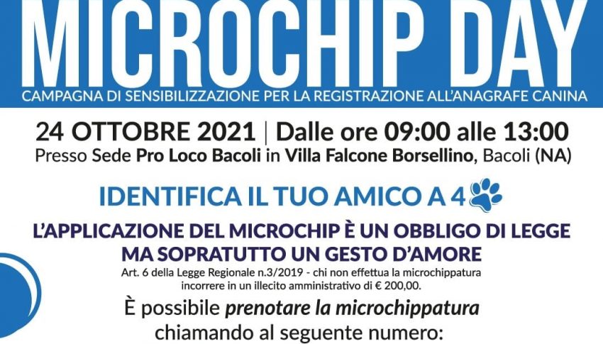 Microchip day